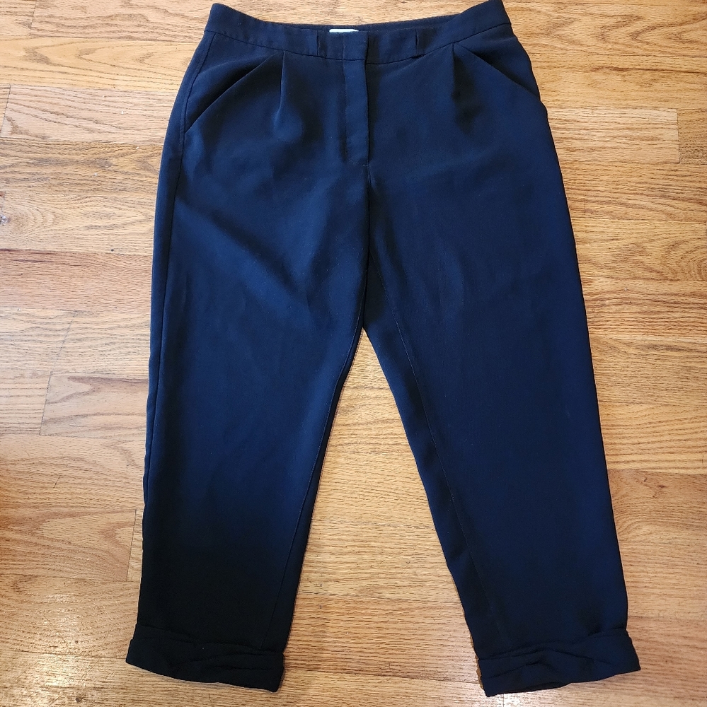 Aritzia Ankle Cropped Pants